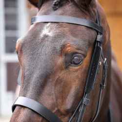 Œillères cheval en cuir Shires Velociti GARA – équitation