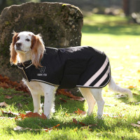 Manteau imperméable pour chien Shires Digby & Fox Noir Manteau imperméable pour chien Shires Digby & Fox Noir