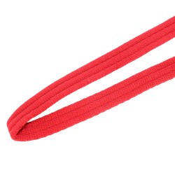 Longe de présentation matelassée Shires Rouge