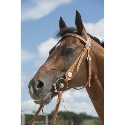 Bridon Westride by Franck Perret Aurora Noisette