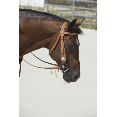 Bridon Westride by Franck Perret Aurora Bridon Westride by Franck Perret Aurora