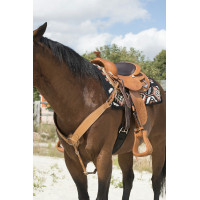 Collier de chasse Westride by Franck Perret Billy Noisette