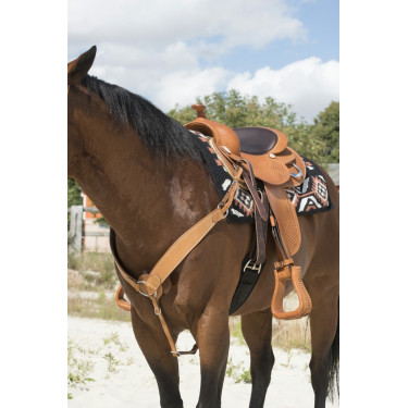 Collier de chasse Westride by Franck Perret Billy Collier de chasse Westride by Franck Perret Billy