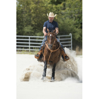 Collier de chasse Westride by Franck Perret Aurora Collier de chasse Westride by Franck Perret Aurora