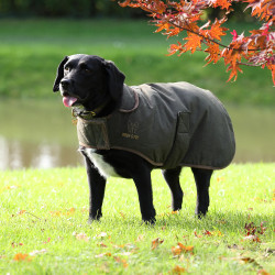 Manteau imperméable chien Shires Digby & Fox équitation