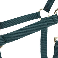 Licol réglable Shires Arma Vert Licol réglable Shires Arma Vert