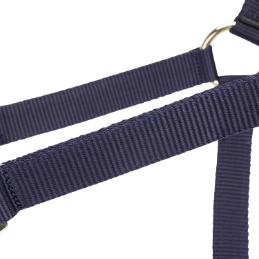 Licol réglable Shires Arma Marine Bleu marine Licol réglable Shires Arma Marine Bleu marine