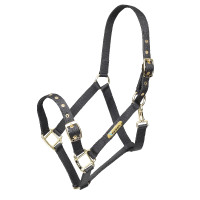 Licol réglable Shires Arma Noir