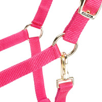 Licol réglable Shires Arma Rose