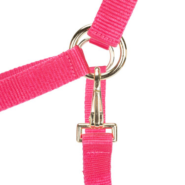 Licol réglable Shires Arma Rose Licol réglable Shires Arma Rose