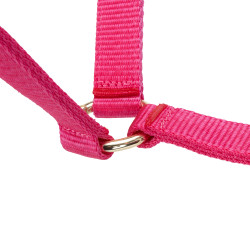 Licol réglable Shires Arma Rose Licol réglable Shires Arma Rose