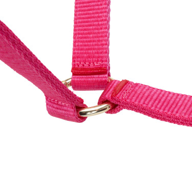 Licol réglable Shires Arma Rose Licol réglable Shires Arma Rose
