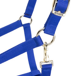 Licol réglable Shires Arma Bleu