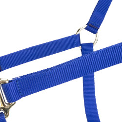 Licol réglable Shires Arma Bleu