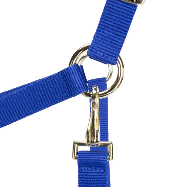 Licol réglable Shires Arma Bleu
