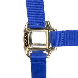 Licol réglable Shires Arma Bleu