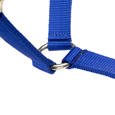 Licol réglable Shires Arma Bleu