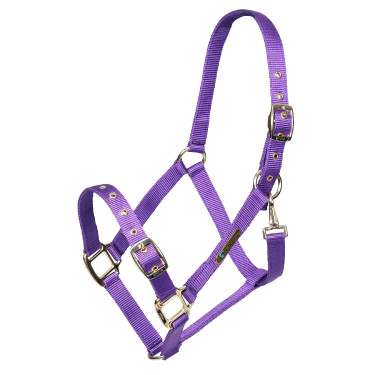 Licol d’équitation réglable Shires ARMA – cheval