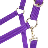 Licol réglable Shires Arma Violet