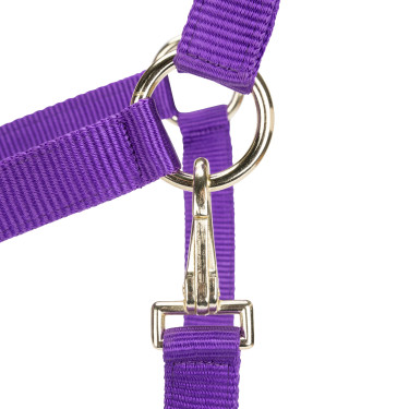 Licol d’équitation réglable Shires ARMA – cheval