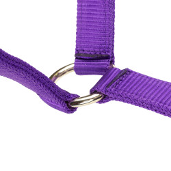 Licol d’équitation réglable Shires ARMA – cheval