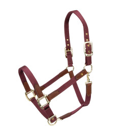 Licol d’équitation ARMA Porto Shires – confort réglable