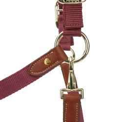 Licol d’équitation ARMA Porto Shires – confort réglable