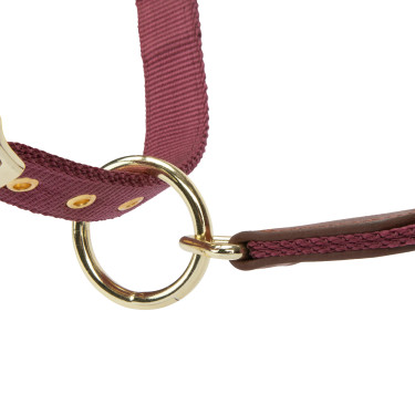 Licol d’équitation ARMA Porto Shires – confort réglable