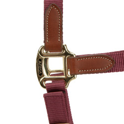 Licol d’équitation ARMA Porto Shires – confort réglable