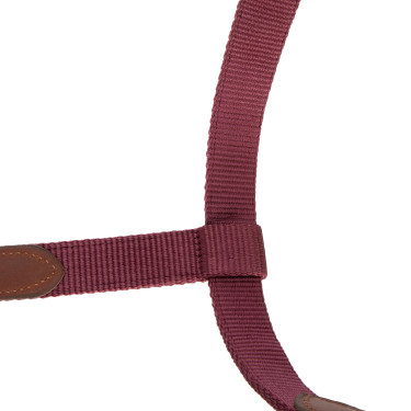 Licol d’équitation ARMA Porto Shires – confort réglable