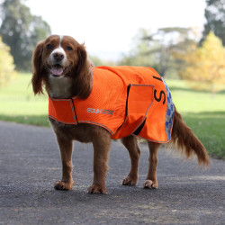 Manteau chien haute visibilité équitation Shires Equi-Flector