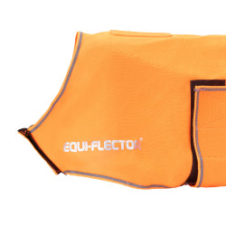 Manteau chien haute visibilité équitation Shires Equi-Flector