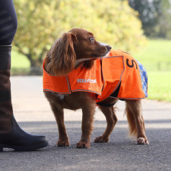 Manteau chien haute visibilité équitation Shires Equi-Flector