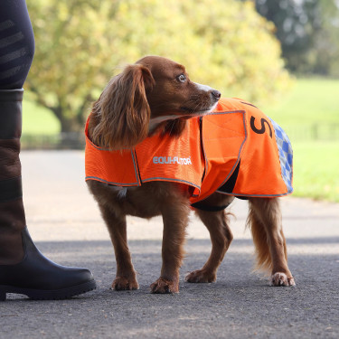 Manteau chien haute visibilité équitation Shires Equi-Flector