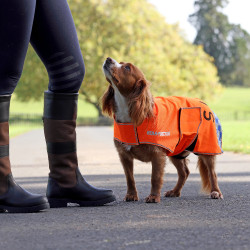 Manteau chien haute visibilité équitation Shires Equi-Flector