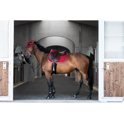 Tapis GEM Atlas Obstacle Tapis GEM Atlas Obstacle