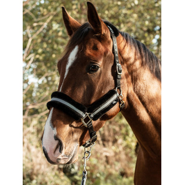 Licol Mountain Horse Licol Mountain Horse