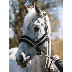 Licol Mountain Horse Licol Mountain Horse