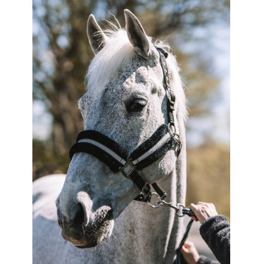 Licol Mountain Horse Licol Mountain Horse