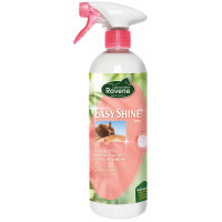 Easy Shine lustrant Ravene