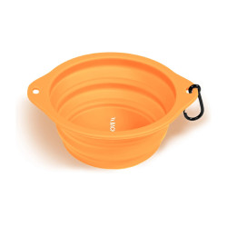 Gamelle pour chien
