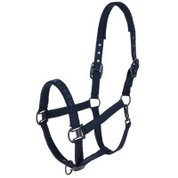 Licol AH26 Covalliero Licol AH26 Covalliero