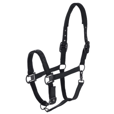 Licol AH26 Covalliero Noir Licol AH26 Covalliero Noir