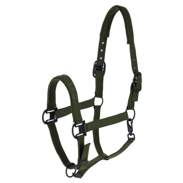 Licol AH26 Covalliero Vert forêt