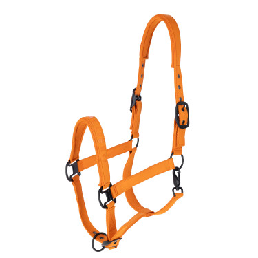 Licol AH26 Covalliero Orange