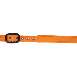 Licol AH26 Covalliero Orange