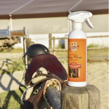Easy Clean Charlee's Leather Ravene Easy Clean Charlee's Leather Ravene