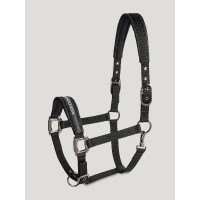 Licol et longe Yale Shine Tommy Hilfiger Equestrian