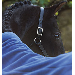 Couverture polaire Rambo Cozy pour chevaux