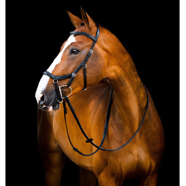 Bridon d'Équitation Micklem 2 Deluxe - Performance et Confort Bridon d'Équitation Micklem 2 Deluxe - Performance et Confort
